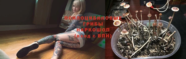 тгк Алексеевка