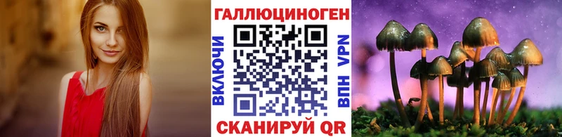 где найти наркотики  Чудово  Псилоцибиновые грибы Cubensis 